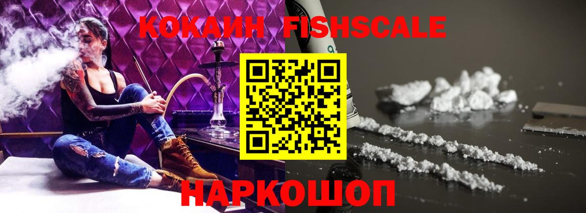 Кингисепп  Cocaine Fish Scale  Вход с VPN 
